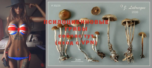 крисы Волгодонск