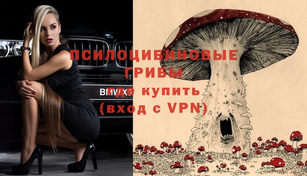 меф Майский