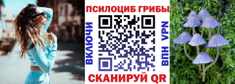 даркнет сайт  Салават  Псилоцибиновые грибы мухоморы 