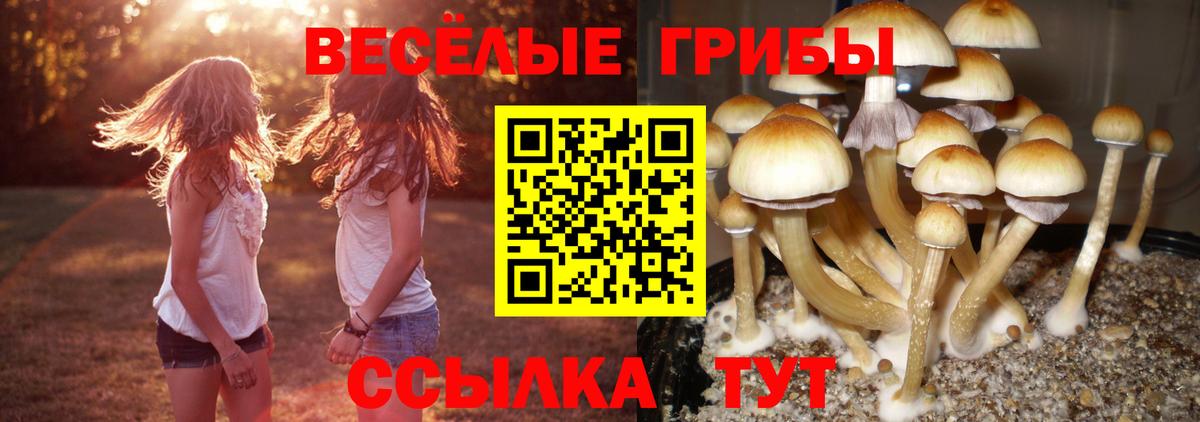Галлюциногенные грибы ЛСД  Вход с VPN  Салават 